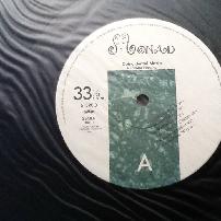 Haruomi Hosono - Coincidental Music Japanese LP Vinyl