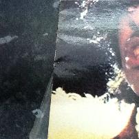 Prince - Prince - Anabas Fotofile