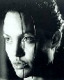 angelina_jolie