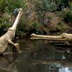Dinosaur park, Crystal Palace Park - Sept. 08