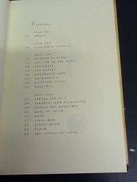 David Sylvian Trophies - The Lyrics of David Sylvian Paperback Book