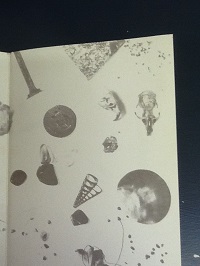 David Sylvian Trophies - The Lyrics of David Sylvian Paperback Book