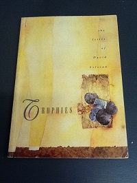 David Sylvian Trophies - The Lyrics of David Sylvian Paperback Book