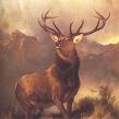 Edwin Landseer Monarch of the Glen Print
