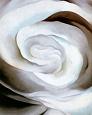 Abstraction White Rose, 1927
by Georgia O'Keeffe