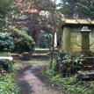 Pathway, Western Cemetery, Highgate Cemetery - March 09