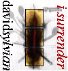 david sylvian i surrender part 1 CD single