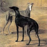 J L Agasse Canvas Prints