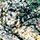 jackson pollock / untitled