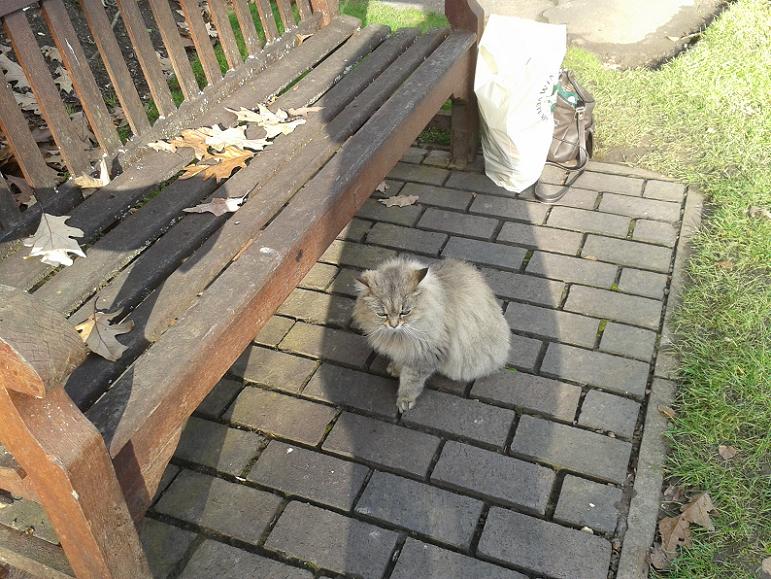 Kelsey Park Beckenham, Kaspar the Cat