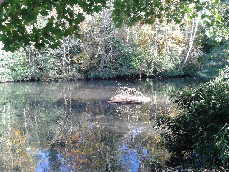 Kelsey Park Beckenham