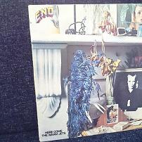 Brian Eno - Here Come The Warm Jets LP Vinyl