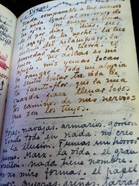 Frida Kahlo The Diary of Frida Kahlo Hardback Book