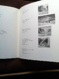 Rock of Ages Cleft For Me: Recent Paintings by Michael Andrews