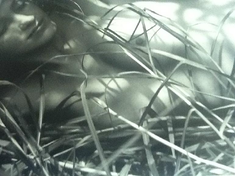 manuel alvarez bravo signed print