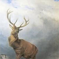 Richard Ansdell Canvas Prints