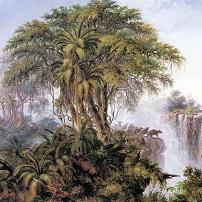 T Baines Buffalo Island Canvas Print