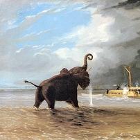 T Baines Elephant in Shire River Canvas Print