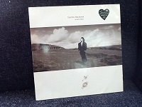 Tanita Tikaram - Ancient Heart Vinyl, LP, Album