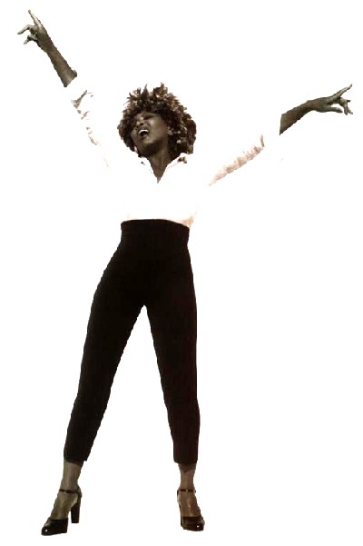 tina turner