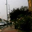 Stafford Road, Wallington, Surrey - Sept. 08