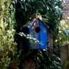 Beddington Grove garden, Wallington, Surrey - Sept. 08