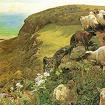William Holman Hunt English Coast Sheep Canvas Print