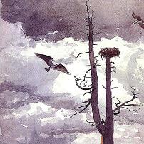 Winslow Homer Large Canvas Prints