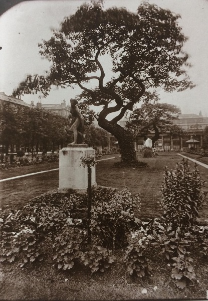 photograph
