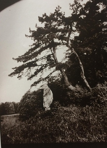 photograph