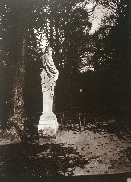 photograph