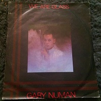 vinyl