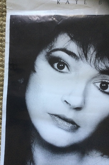 Kate Bush The Whole Story poster