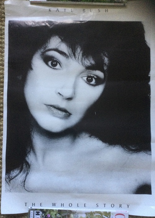 Kate Bush The Whole Story poster